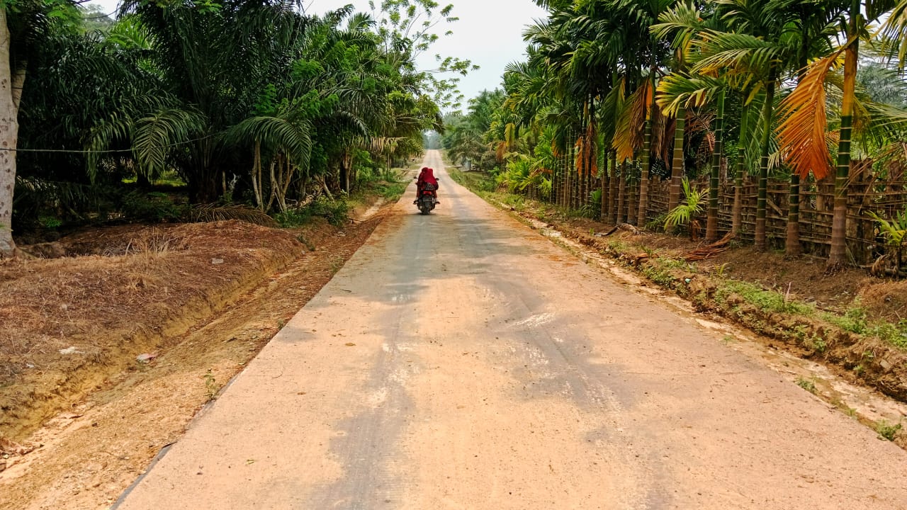 Pemandangan Desa Makmur